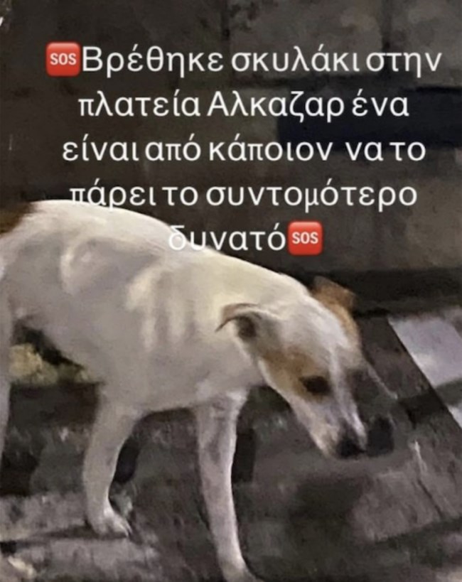 312423