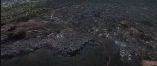 Φωτιά στον Κουβαρά: Πλάνα από drone του Guardian δείχνει το μέγεθος της καταστροφής - Στάχτη και απόγνωση