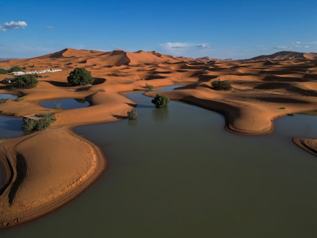 sahara