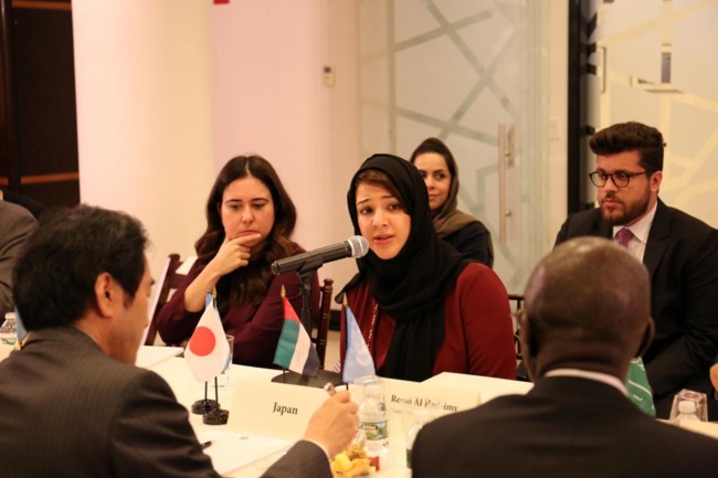 Reem Al Hashimi