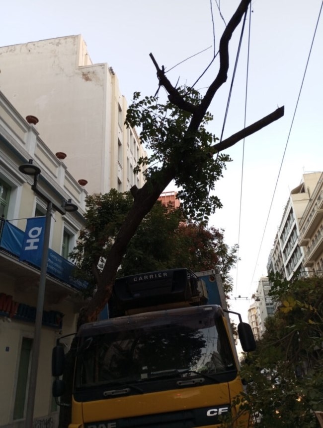 ΔΕΝΤΡΟ ΠΑΤΗΣΙΩΝ