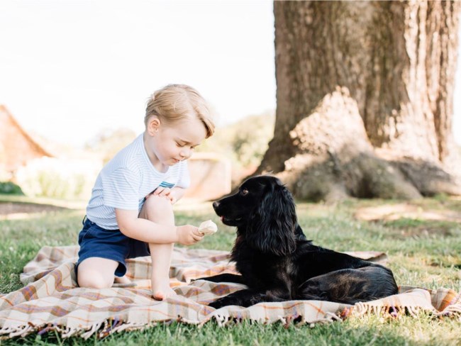 PRINCE GEORGE