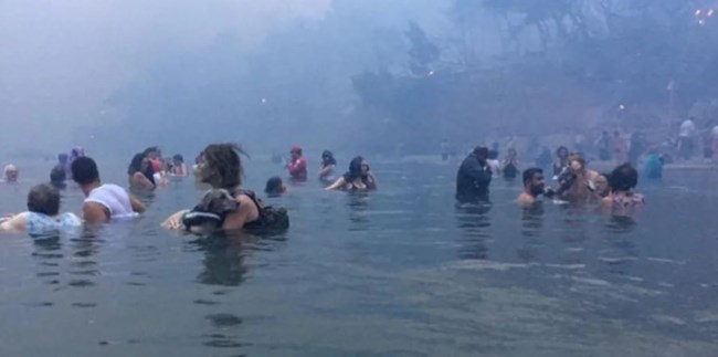 Δίκη για το Μάτι: "Πάλευαν στα κύματα με καμένες τις σάρκες τους" - Συγκλονιστικές καταθέσεις ανθρώπων που έχασαν δικούς τους