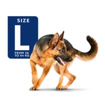 ROYAL CANIN