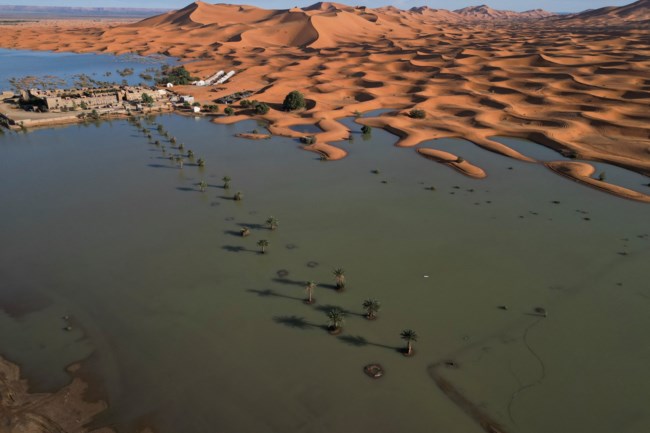 sahara