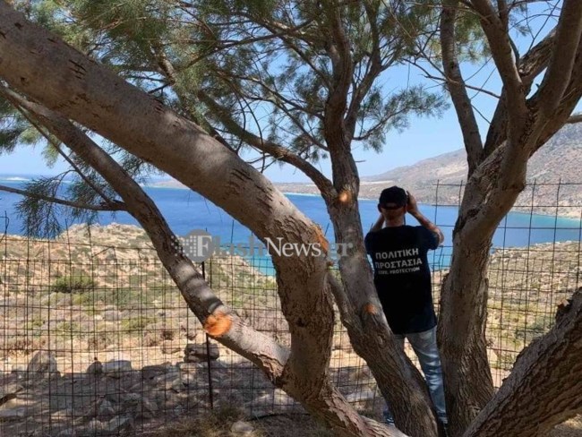 Γαλλίδα
