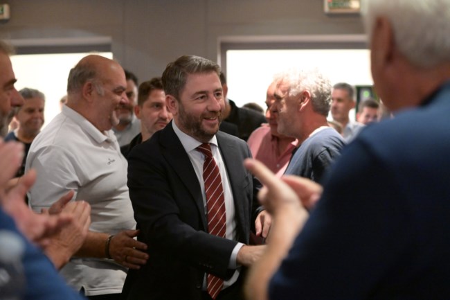 Νίκος Ανδρουλάκης