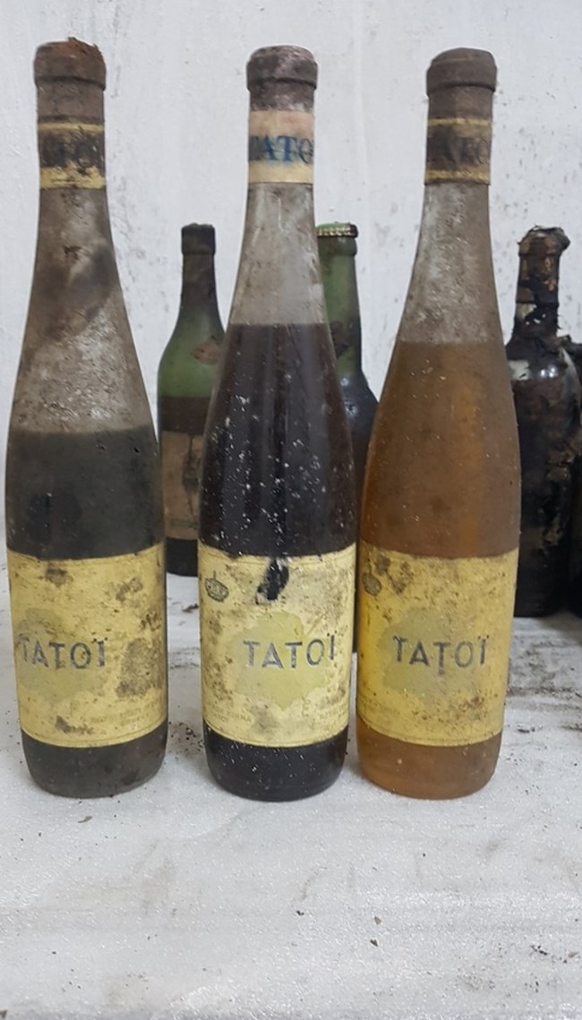 Η ιστορία του οινοποιείου στο Τατόι με τα βραβευμένα κρασιά και η κάβα με τις σπάνιες φιάλες [εικόνες]