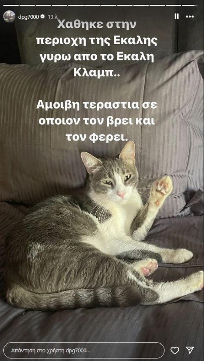 Ο Δημήτρης Γιαννακόπουλος δίνει τεράστια αμοιβή σε όποιον βρει τον γάτο του