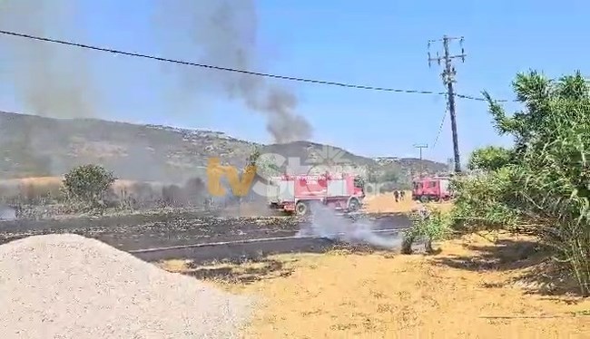 Συναγερμός για πυρκαγιά στη Βοιωτία: Μήνυμα από το 112 - Δύσκολη η φωτιά, λέει ο αντιπεριφερειάρχης