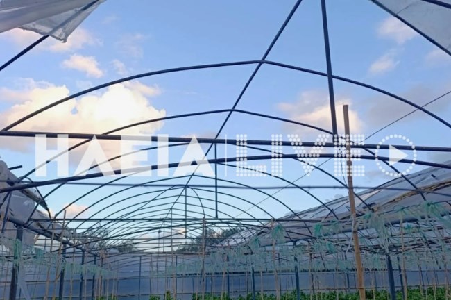 ΑΝΕΜΟΣΤΡΟΒΙΛΟΣ ΗΛΕΙΑ