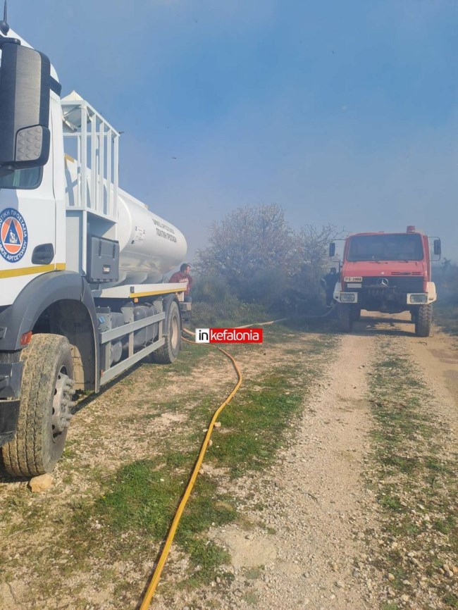 Κεφαλονιά: Φωτιά σε δάσος στα Μαυράτα - Σηκώθηκε πυροσβεστικό αεροσκάφος