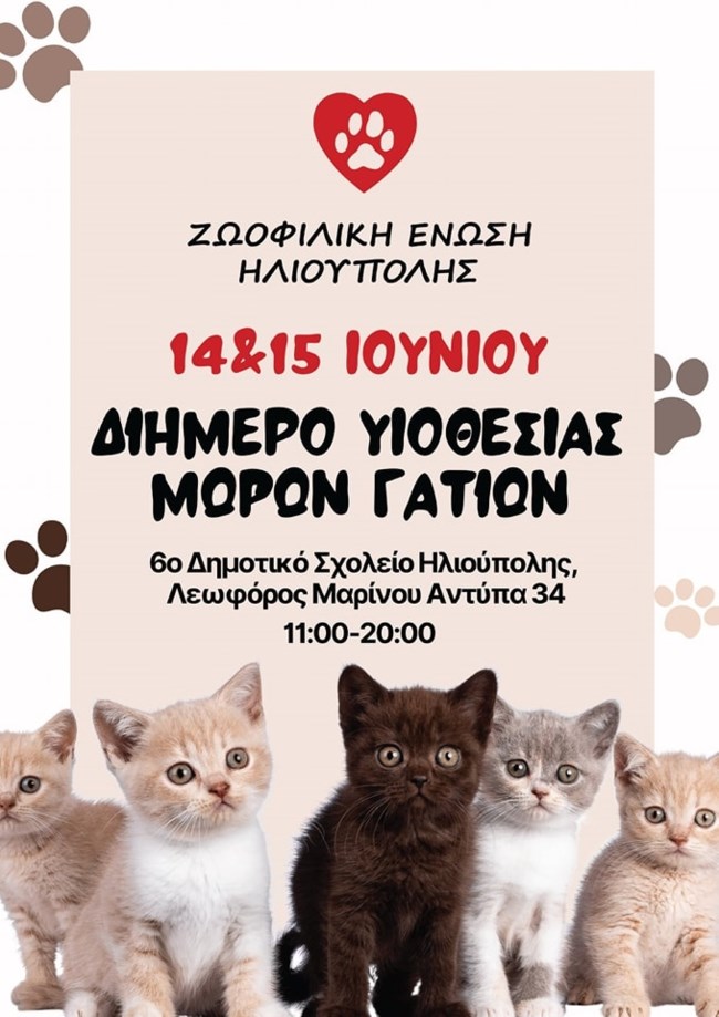 Διήμερο Υιοθεσίας Μωρών Γατιών 14 & 15 Ιουνίου: Κι αν δεν μπορείς να πάρεις σπίτι ένα μωρουδομπεμπέ πήγαινε να πάρεις τα πιο όμορφα μαθήματα ζωής