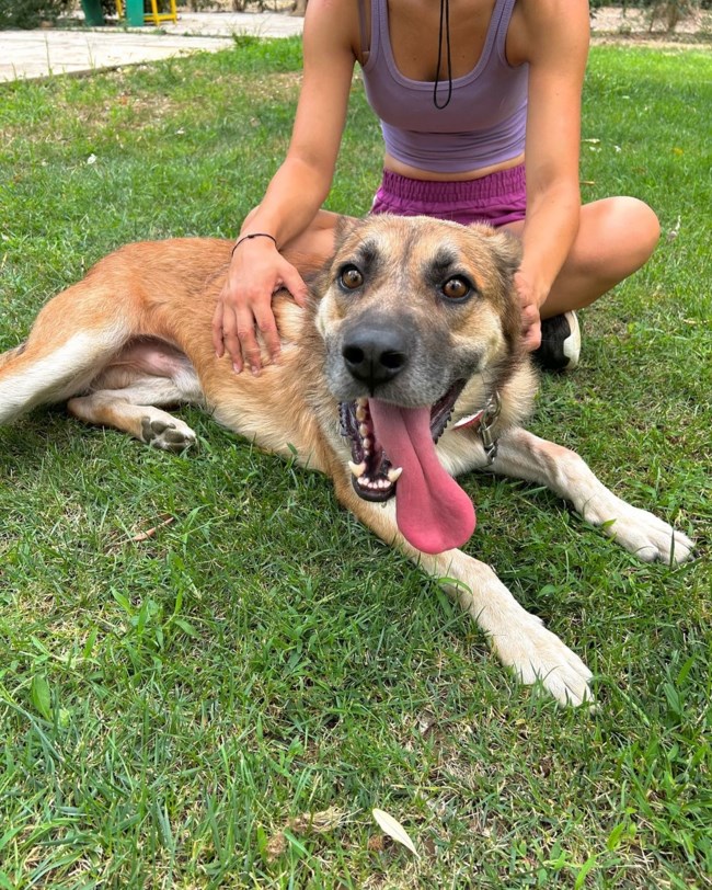 Ο Hound γλίτωσε στο παρά ένα την ευθανασία - Από τότε δεν έπαψε να γελά και να χαίρεται