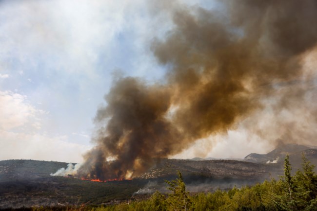 Ανάλυση: Πώς και γιατί η Τουρκία έμεινε χωρίς πυροσβεστικά αεροσκάφη- Η κόντρα Ερντογάν με την Αεροναυτική Ενωση