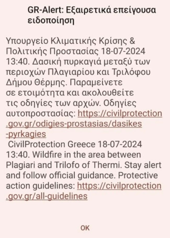 Μεγάλη φωτιά στη Θέρμη Θεσσαλονίκης: Ζημιές σε σπίτια από τις φλόγες, εκκενώθηκε ξενοδοχείο