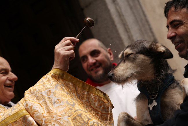 RELIGION-PETS