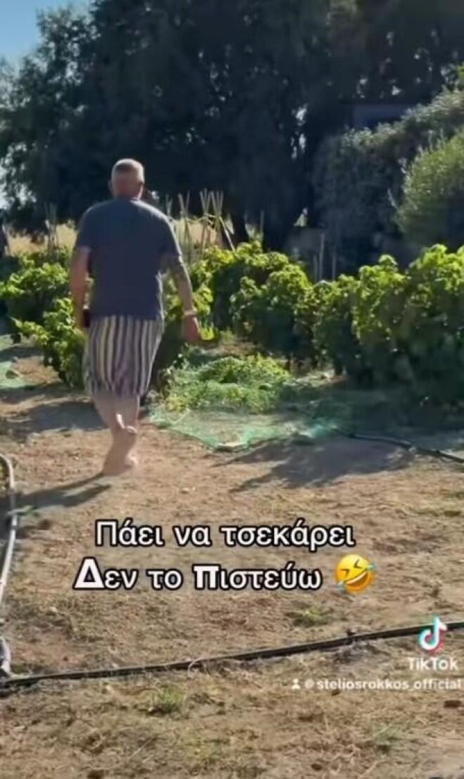 ζ