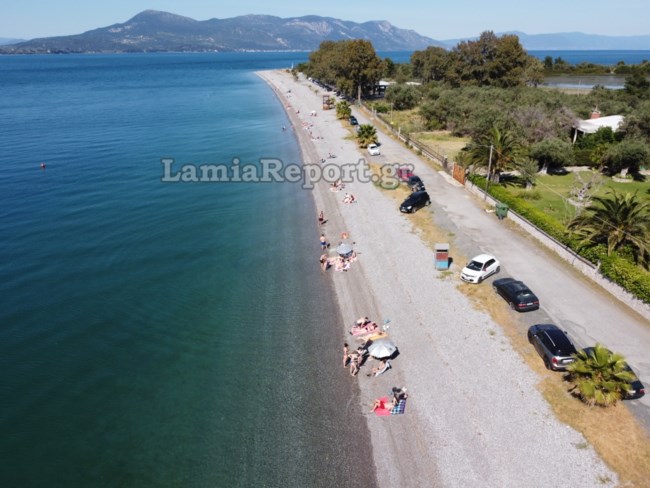 lamia