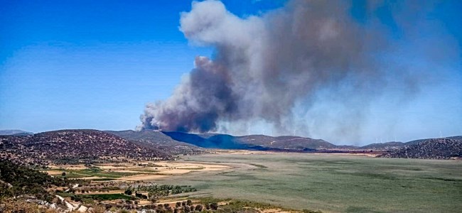 Φωτιά στην Εύβοια