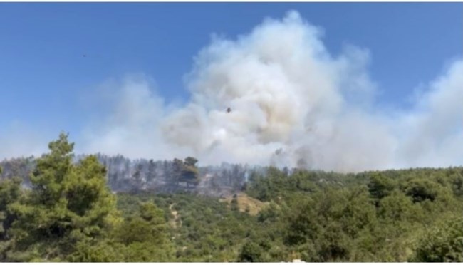 Φωτιά στον Ωρωπό: Μαίνεται σε δυσπρόσιτο και δύσβατο σημείο - Ενισχύθηκαν οι δυνάμεις, διακοπή της κυκλοφορίας