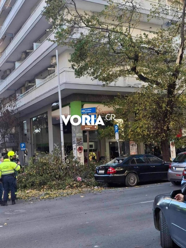 ΠΤΩΣΗ ΔΕΝΤΡΟΥ ΘΕΣΣΑΛΟΝΙΚΗ