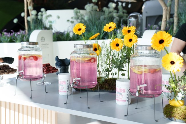 Feel the Nature Experience