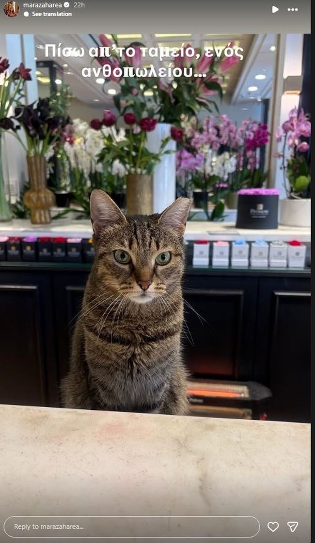 Μάρα Ζαχαρέα: Η έκπληξη που συνάντησε κατά τη διάρκεια αγορών της- "Στο ταμείο"