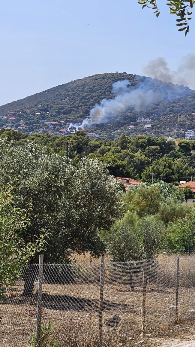Υπό έλεγχο η φωτιά στην Αρτέμιδα - Σηκώθηκαν και δύο ελικόπτερα [εικόνες]