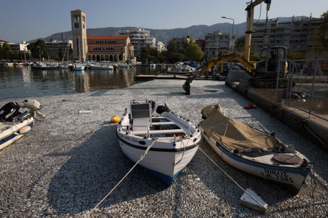 Τον γύρο των διεθνών ΜΜΕ κάνουν οι εικόνες με τα νεκρά ψάρια στην παραλία του Βόλου: "Η ασημί κουβέρτα της καταστροφής"
