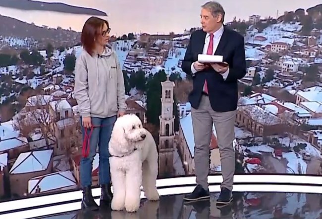 βαγγελης