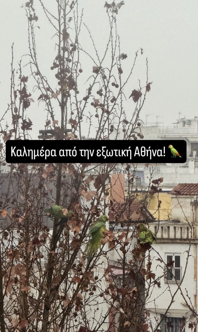 Σία Κοσιώνη - Κώστας Μπακογιάννης: Η θέα του σπιτιού τους- "Από την εξωτική Αθήνα"