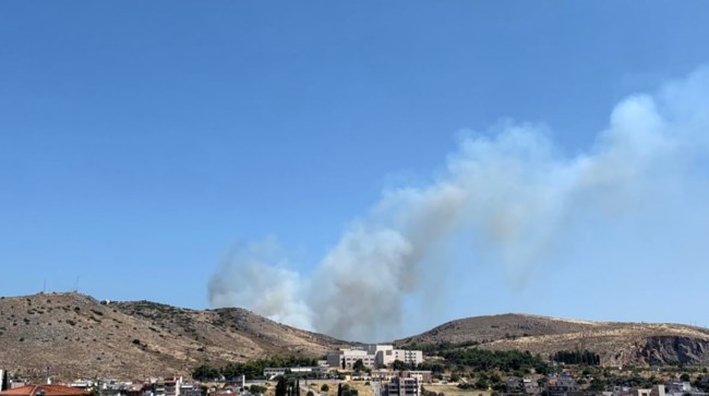 ΠΥΡΚΑΓΙΑ ΧΑΛΚΙΔΑ 2