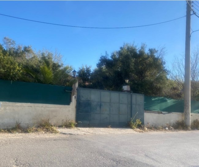 Οικογένεια Αγούδημου