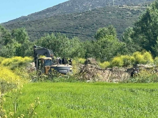 σκυλια Τεμπη