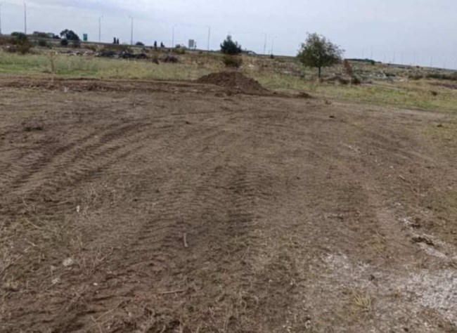 Ροδόπη: Εψαχναν κουτάβια σκυλίτσας που εντοπίστηκε σε προχωρημένη σήψη και βρήκαν μαζικό τάφο ζώων