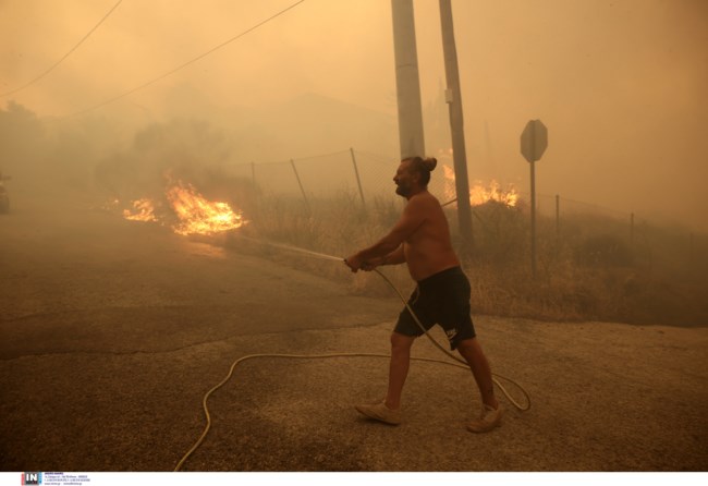 ντραφι