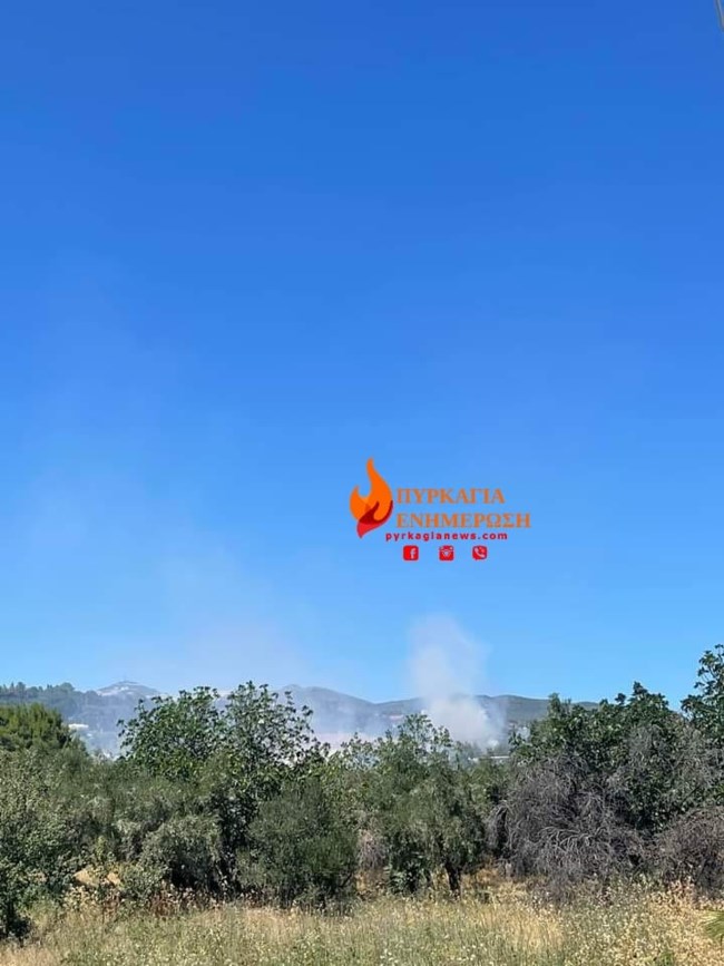 φωτια παλληνη