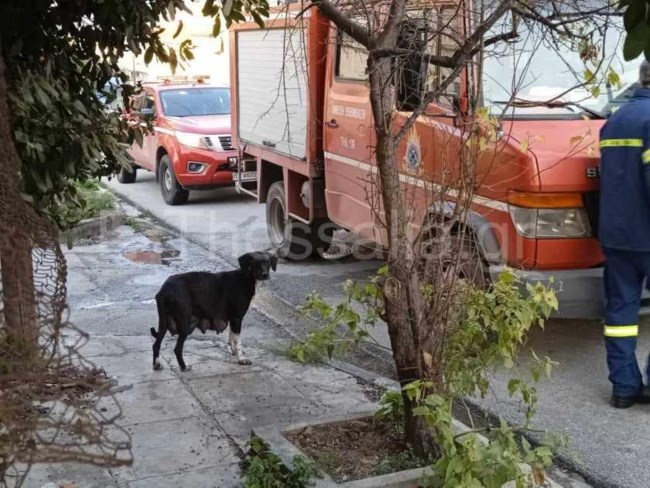 πυροσβεστικη