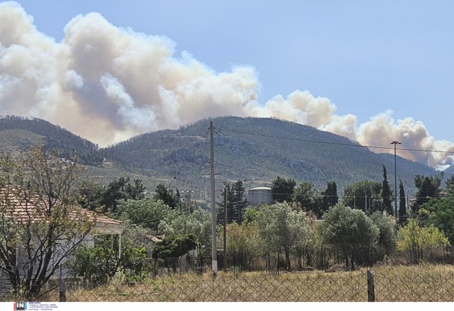 Κολυδάς για τη φωτιά στην Πάρνηθα: Μέχρι και 8 μποφόρ οι ριπές του ανέμου - Πότε θα εξασθενήσουν