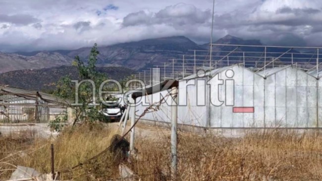 Αστυνομική επιχείρηση στη Μεσσαρά: Ξήλωσαν χασισοφυτεία με πάνω από 1.000 δενδρύλλια κάνναβης