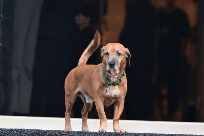 ΜΗΤΣΟΤΑΚΗΣ ΜΕΤΣΟΛΑ