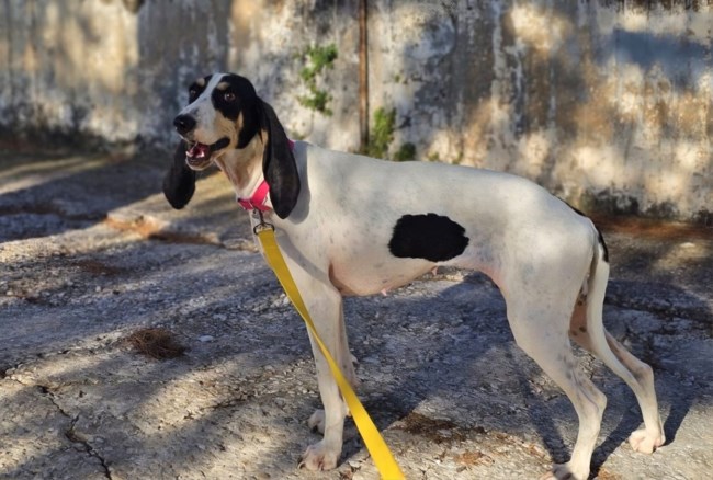 Η Μπέλα Μπάξτερ γεννήθηκε.... προχθές και άρχισε να ανακαλύπτει τον κόσμο από την αρχή