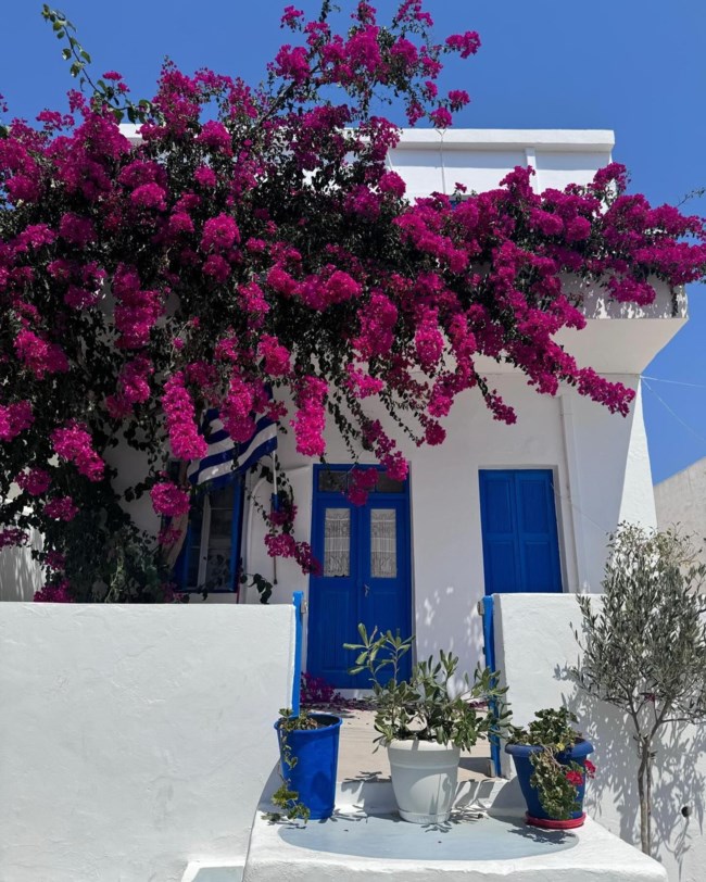 ντασα