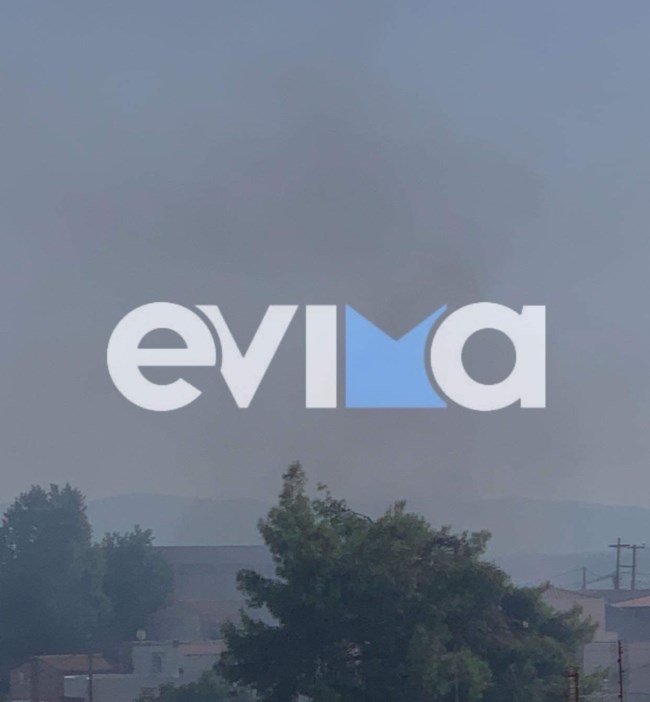 Φωτιά στη Χαλκίδα κοντά σε σχολείο - Κάλυψε την πόλη ο καπνός