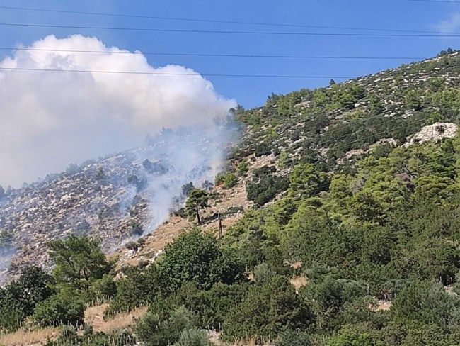 Φωτιά στη Νέα Μάκρη: Επιχειρούν εναέρια μέσα [βίντεο]