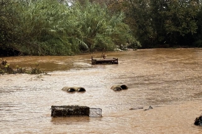 ΦΙΛΙΠΠΙΑΔΑ