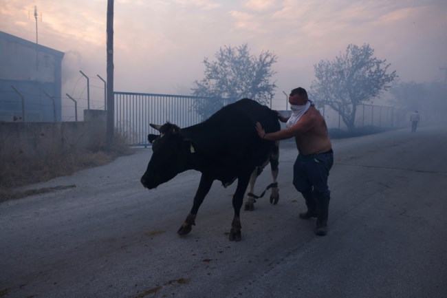 ΦΩΤΙΑ ΣΕΣΚΛΟ ΜΑΓΝΗΣΙΑΣ