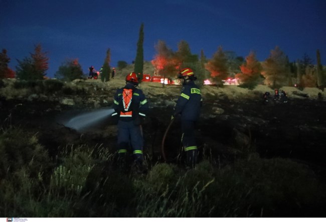 Τρεις ανήλικοι που πετούσαν κροτίδες, προκάλεσαν τη φωτιά στο άλσος Βεΐκου στο Γαλάτσι