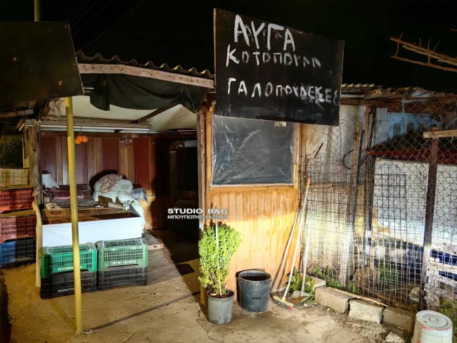 Ναύπλιο 72χρονη